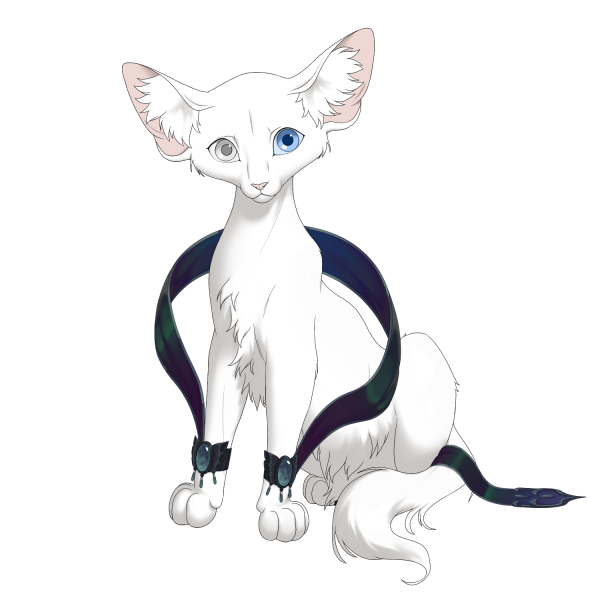 File:Black Iridescent Trail Longhair Kit.png