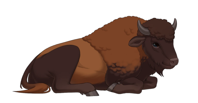 File:Laying Bison.png