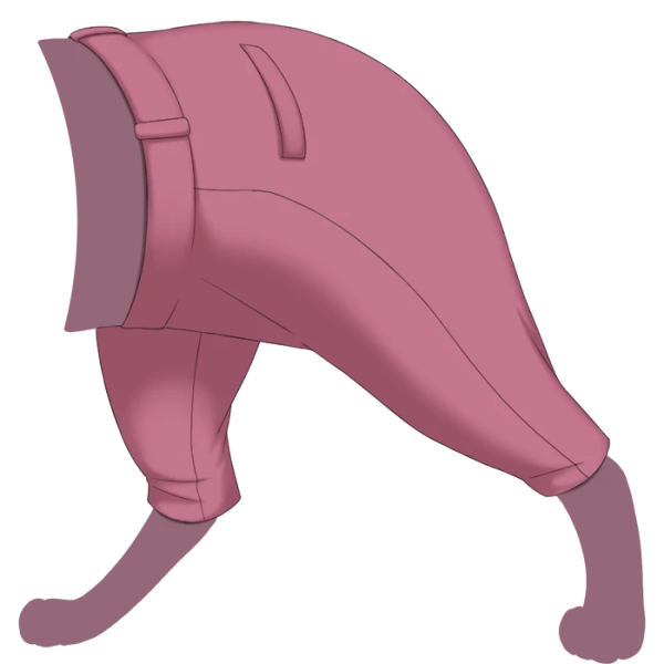 File:Pink Woolen Pants.png