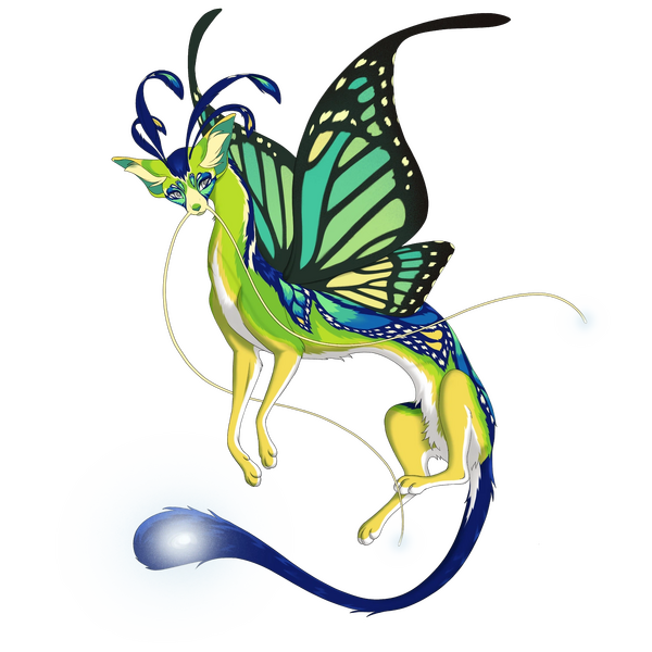 File:Moontail Silkwing Butterfly.webp