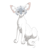 White Gilded Helm on a Longhair Kit