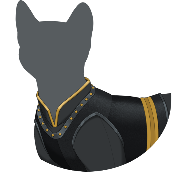 File:Black Guard's Chestplate.png