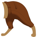 Orange Woolen Pants