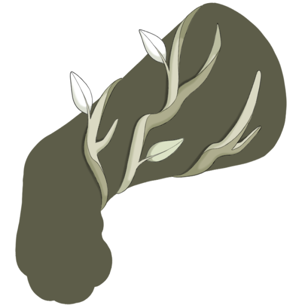 File:White Creeping Vine.png