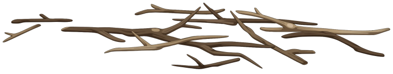 File:Scattered Twigs.png