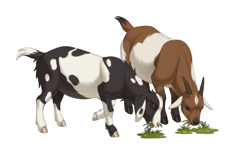 File:Grazing Goats.png