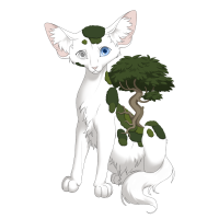 Green Creeping Thicket on a Longhair Kit
