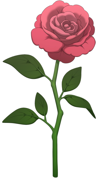 File:Pink Rose.png