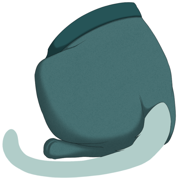 File:Teal Sweetheart Tights.png