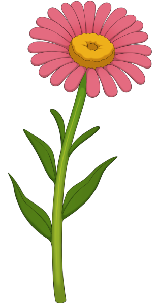 File:Pink Daisy.png