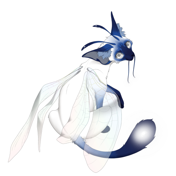 File:Dragonslug Minkface Moontail Lacewing Kit.png