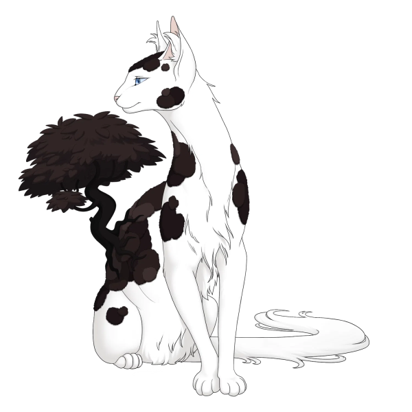 File:Black Creeping Thicket Longhair Venus.png