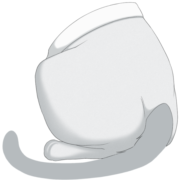 File:White Sweetheart Tights.png