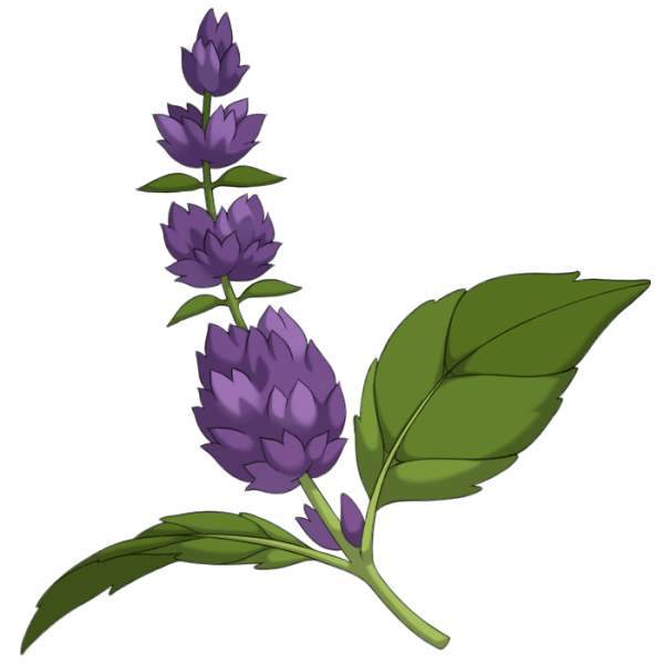 File:Patchouli.png