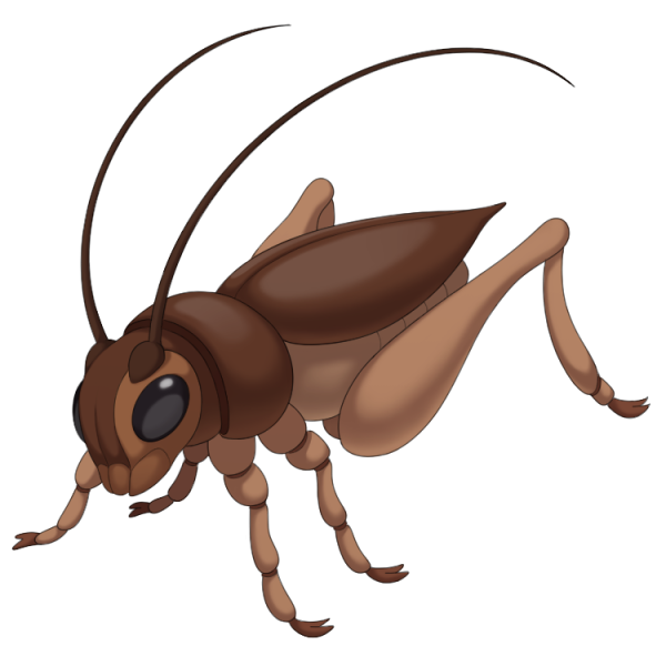File:Cricket.png