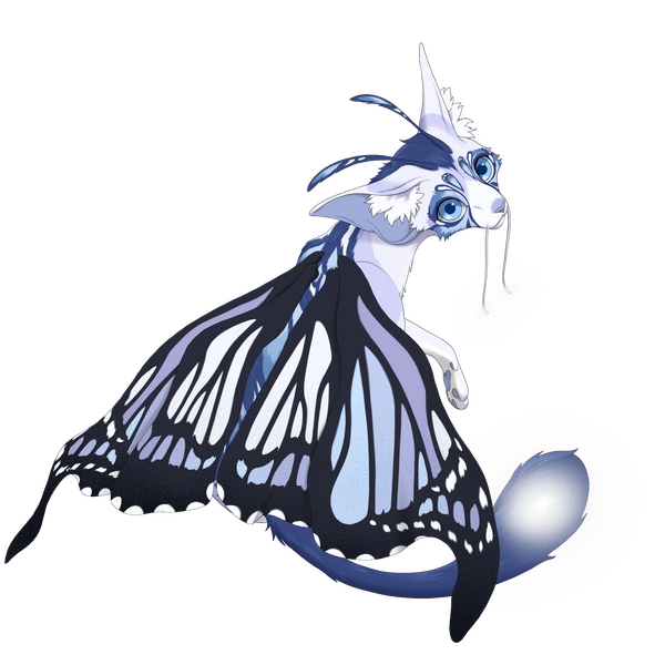 File:Butterfly Silk K Ice.webp