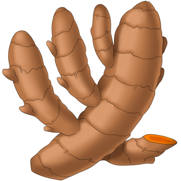 File:Turmeric.png