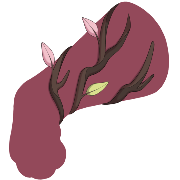 File:Pink Creeping Vine.png