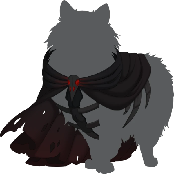 File:Black Necromantic Cloak.png