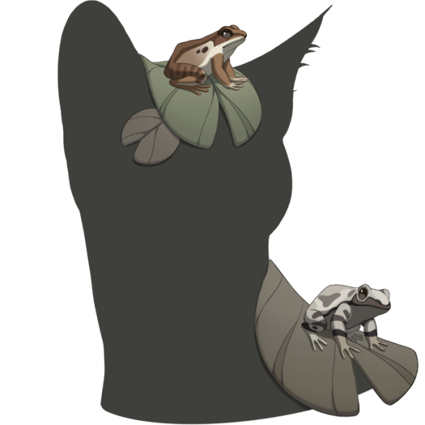 File:Grey Frog Friends.png