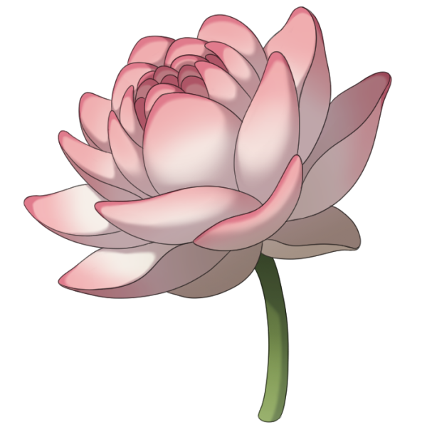 File:Lotus.png