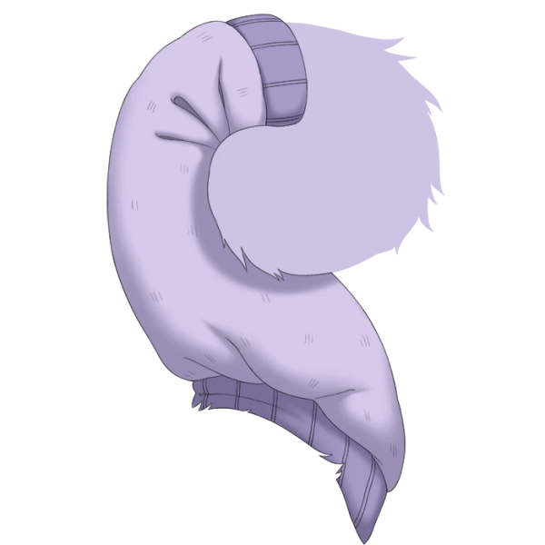 File:Purple Woolen Tail Cozy.png