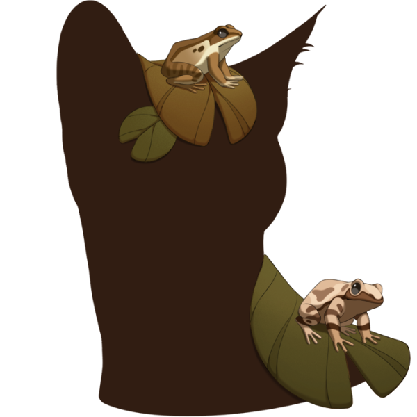 File:Brown Frog Friends.png