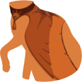 Orange Regal Phoenix Mantle