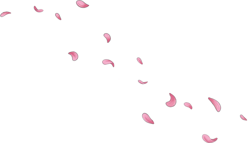 File:Pink Windblown Petals.png