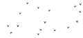 Thumbnail for version as of 18:13, 29 May 2026