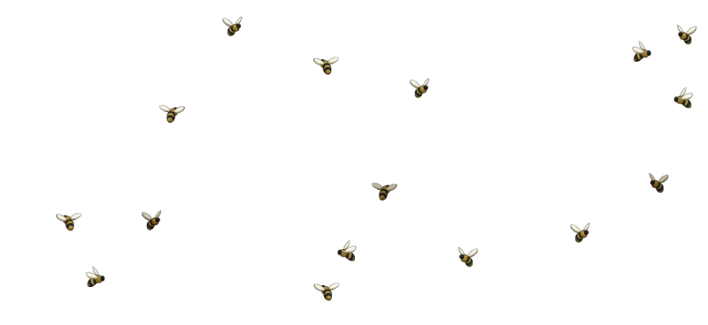 File:Large Bee Swarm.png