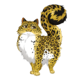 Yellowjacket Leopard on a venus Ragdoll