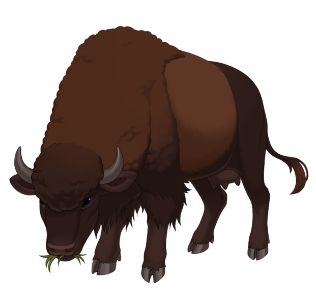File:Grazing Bison.png