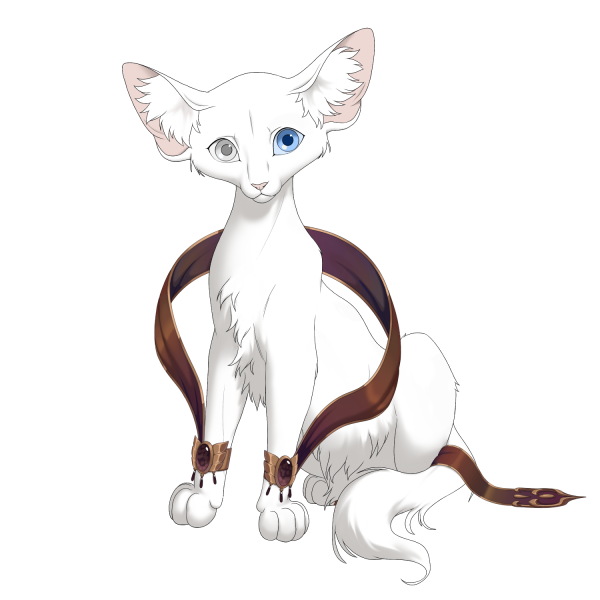 File:Brown Iridescent Trail Longhair Kit.png
