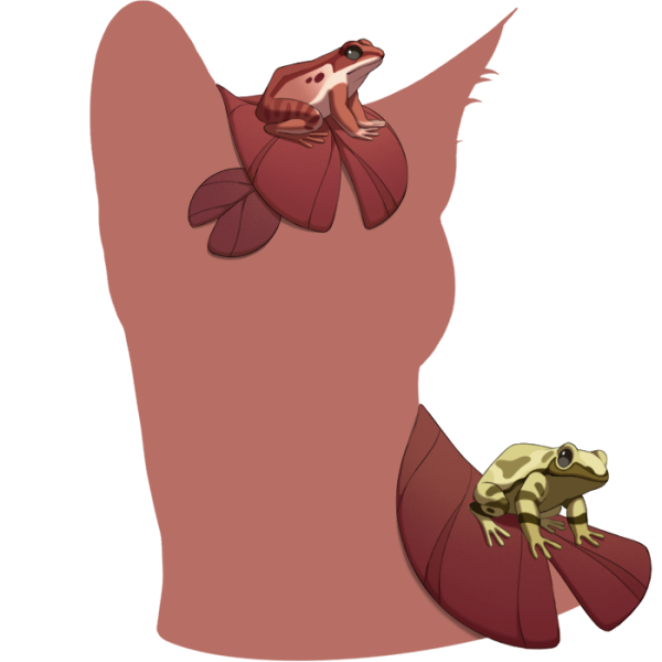 File:Red Frog Friends.png