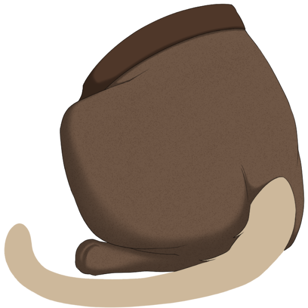 File:Brown Sweetheart Tights.png