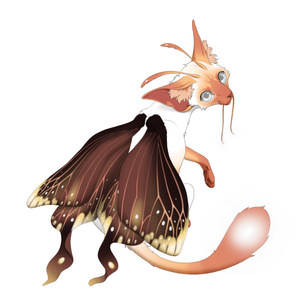 File:Grapefruit Minkface Moontail Ribbonwing Kit.png