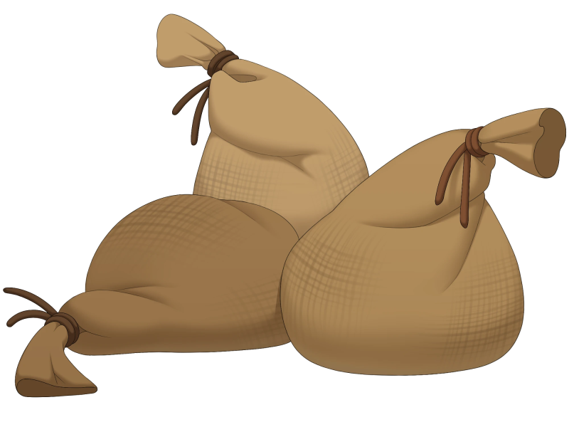 File:Cargo Sacks.png