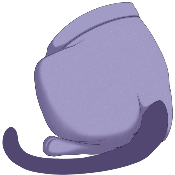 File:Purple Sweetheart Tights.png