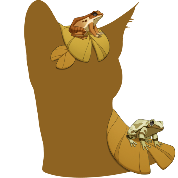 File:Yellow Frog Friends.png