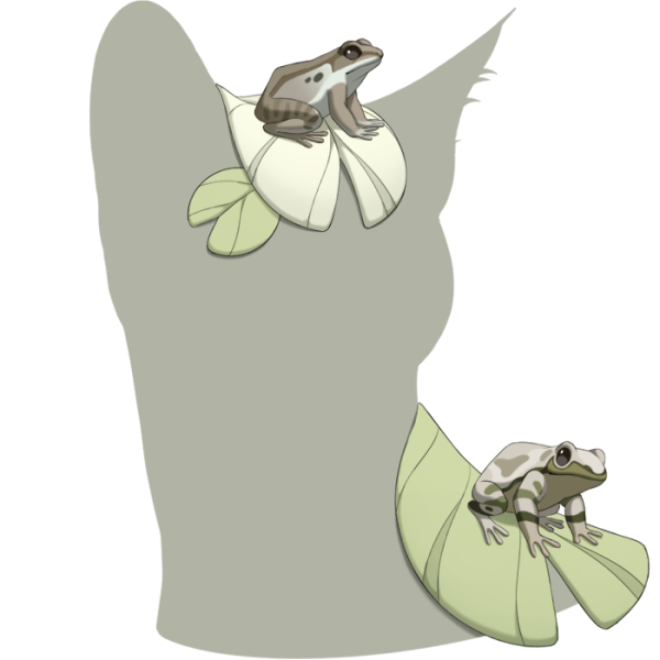 File:White Frog Friends.png