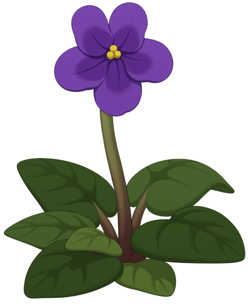 File:Violet.png