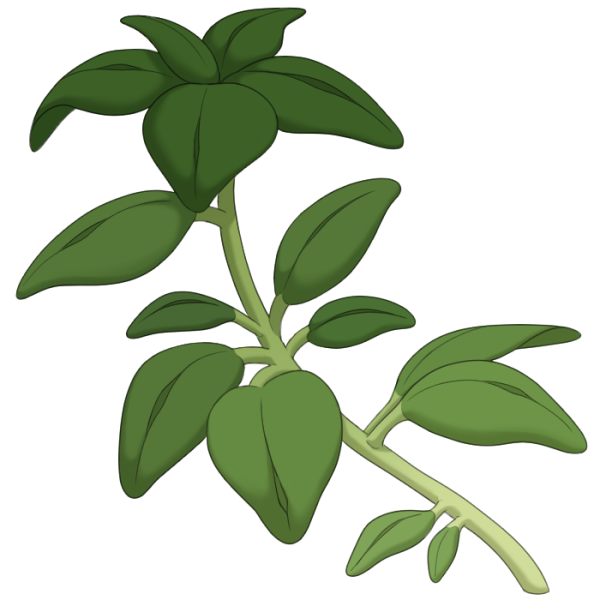 File:Basil.png