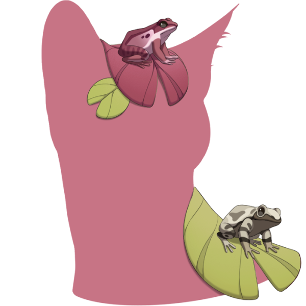File:Pink Frog Friends.png