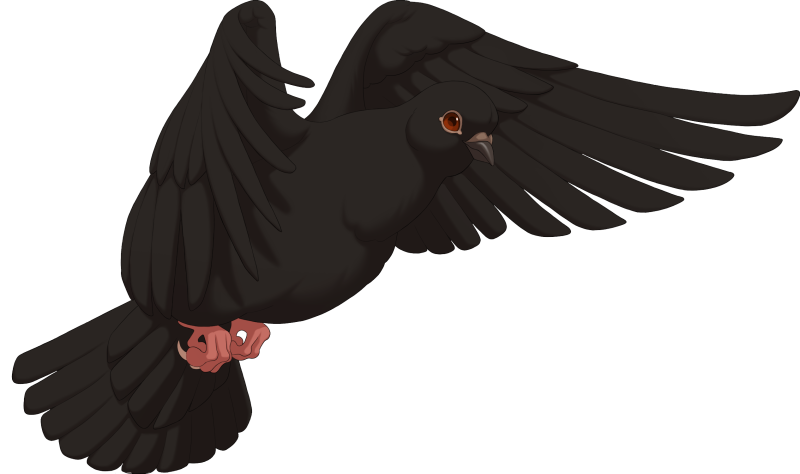 File:Black Flying Dove.png