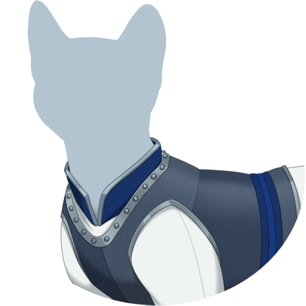 File:Blue Guard's Chestplate.png