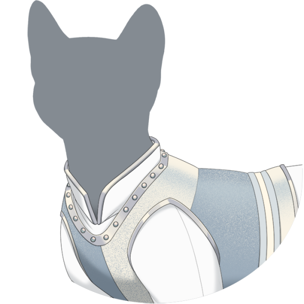 File:White Guard's Chestplate.png