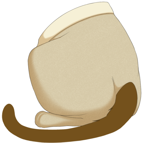 File:Yellow Sweetheart Tights.png