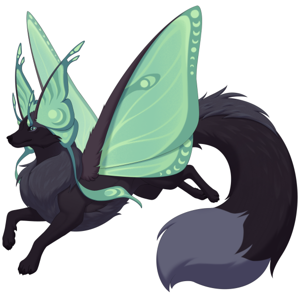 File:Northern Velvenox.png
