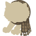 Brown Woolen Scarf